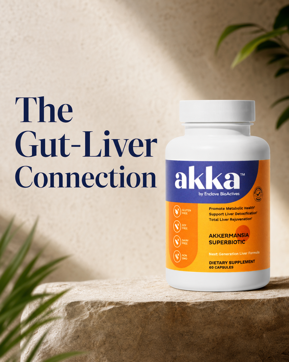 AKKA bottle beside headline reading The Gut-Liver Connection